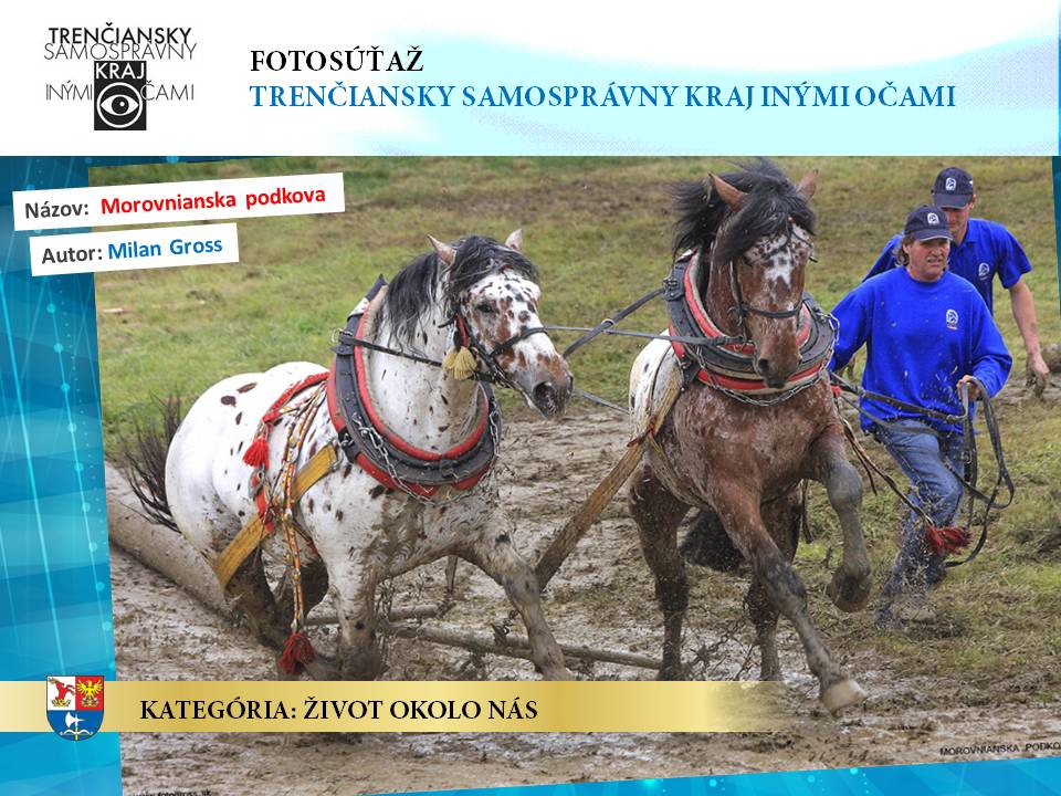 Fotosúťaž - výhercovia