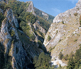 Príroda