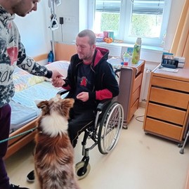 Zväčšiť fotografiu - V centrách sociálnych služieb využívajú terapeutický účinok psov i hier
