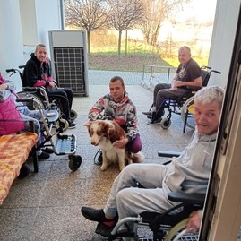 Zväčšiť fotografiu - V centrách sociálnych služieb využívajú terapeutický účinok psov i hier