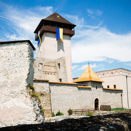 Zväčšiť fotografiu - Trenčiansky hrad zabojuje o značku európskeho kultúrneho dedičstva - 20200723-IMG_0008