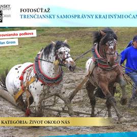 Fotosúťaž - výhercovia