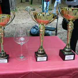 Kalokagatia 2012 - 6. ročník – krajskej orientačno-vedomostnej súťaže - P1110900 resize