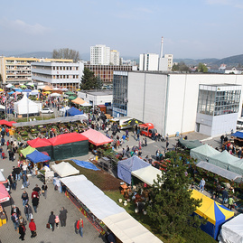 Adventný kalendár tsk 2017, deň dvadsiatytretí – 23. ročník záhradkár 2017 - 20170405_TN_Zahradkar_foto_Radovan_Stoklasa_001w