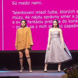 Zväčšiť fotografiu - Deň regiónov oslavou dvadsaťročnej existencie samosprávnych krajov - TSK_Deň regiónov_mini-113