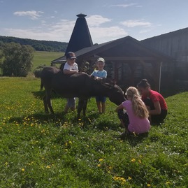 Zväčšiť fotografiu - Detský týždeň v považskobystrickom zariadení sociálnych služieb bystričan - Papradno - kone
