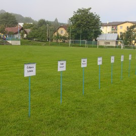 Duševnú i fyzickú kondíciu seniorom z okresu považská bystrica môžu závidieť aj mladšie ročníky. dôkazom bol v poradí 5. ročník olympiády seniorov - IMG_0005