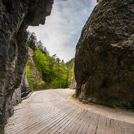Zväčšiť fotografiu - Dvojnásobné striebro pre kalendáre župy - Možno tituka