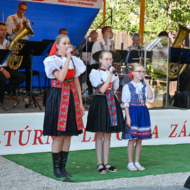 Zväčšiť fotografiu - Dychová hudba textilanka z trenčína oslávila pol storočie, ocenili aj zakladajúcich členov - DSC_0234