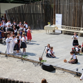 Zväčšiť fotografiu - Folklórna sobota v podaní jubilejných trenčianskych folklórnych slávností či festivalu dychových hudieb - IMG_0030