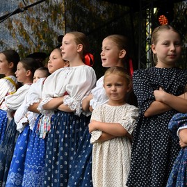 Zväčšiť fotografiu - Horná nitra si pripomenula históriu a uctila odvahu obyvateľov
