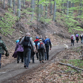 Zväčšiť fotografiu - Hviezdicový výstup na maguru otvoril turistickú sezónu, hasiči v lúkach oslávili jubileum - IMG_7992