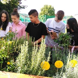 Zväčšiť fotografiu - Kraj prostredníctvom svojich dotačných schém rozdelí viac ako trištvrte milióna eur - sos_pe_5