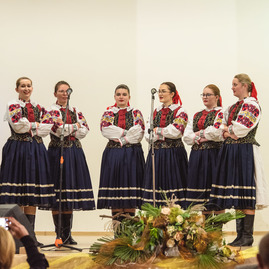 Zväčšiť fotografiu - Malá obec plná výnimočných ľudí - TSK_brezolupy700_mini-52