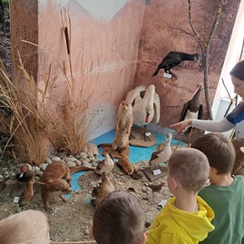 Zväčšiť fotografiu - Múzeum sa ponorilo do vodných tajomstiev