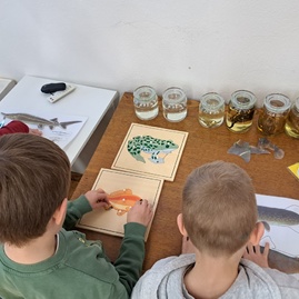 Zväčšiť fotografiu - Múzeum sa ponorilo do vodných tajomstiev