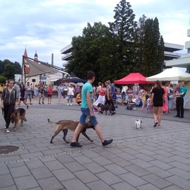 Na desiatom ročníku podujatia s názvom deň zdravia sa zišli všetci priaznivci zdravého životného štýlu - IMG_20180609_112905