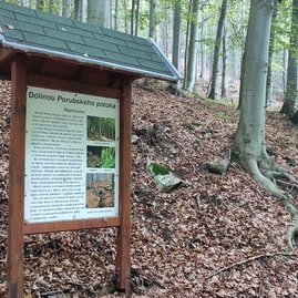 Zväčšiť fotografiu - Na magure sa opäť stretli obyvatelia obcí z hornej nitry - IMG_20211002_094114