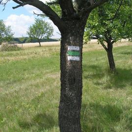 Zväčšiť fotografiu - KST_Značenie 2020_TSK (10)