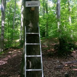 Zväčšiť fotografiu - Na obnovené značenie sa môžu tešiť aj turisti, pribudne na takmer 380 km trás - KST_Značenie 2020_TSK (16)