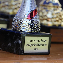 Najlepších dobrovoľných hasičov majú na babulicovom vrchu, hasičky v šišove - IMG_8107