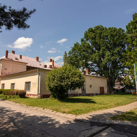Zväčšiť fotografiu - O titul strom roka 2023 súťaží aj zástupca z trenčianskeho kraja - IMG_7627