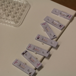 Zväčšiť fotografiu - Priestory župných stredných škôl sú na celoplošné testovanie pripravené - IMG_2340
