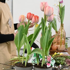 Zväčšiť fotografiu - Príval veľkonočnej nálady zo župnej školy v pruskom