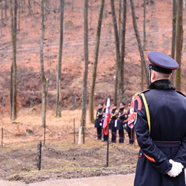 Zväčšiť fotografiu - Rómsky pamätník - DSC_2485