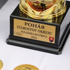 Zväčšiť fotografiu - Siedma olympiáda seniorov opäť spojila športovcov z považskobystrického okresu - IMG_2901