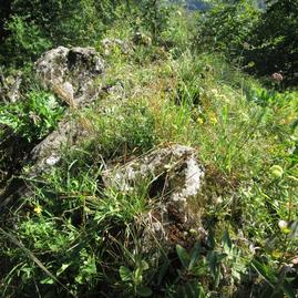 Zväčšiť fotografiu - Spoznajte krásu rozhľadní a vrchov trenčianskeho okresu - Zdroj_KOCR Trenčín Región_autor Valéria Mikovčíková_Klepáč