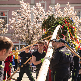 Zväčšiť fotografiu - Svetová cyklistika aj storočné tradície na jednom mieste - TSK_pretek kurierov_maj_mini-34