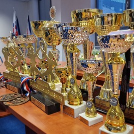 Zväčšiť fotografiu - Trenčianska župa privítala majstrov európy vo fitness - 20240109_160352