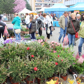 Trenčianske výstavisko sa opäť premenilo na raj všetkých záhradkárov, včelárov a poľovníkov - IMG_0096