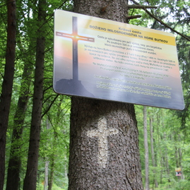 Tretí hromadný výjazd projektu vkt viedol na západný okraj strážovských vrchov – výnimočný vrch butkov - IMG_9655