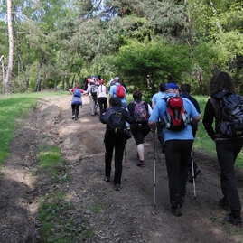 Turistický výstup na maguru po deviatykrát - 03