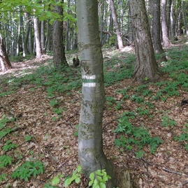 Turistický výstup na maguru po deviatykrát - 04