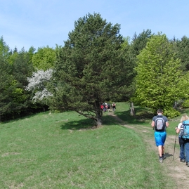 Turistický výstup na maguru po deviatykrát - 06