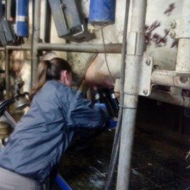 Zväčšiť fotografiu - Týždeň profíka ukázal modernú tvár poľnohospodárstva