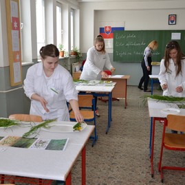 Zväčšiť fotografiu - Týždeň profíka ukázal modernú tvár poľnohospodárstva