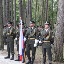 Zväčšiť fotografiu - 