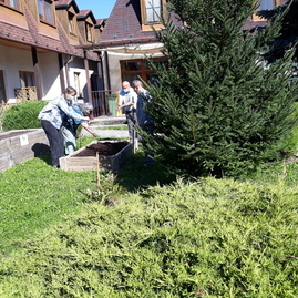 Zväčšiť fotografiu - Vďaka zeleným očiam skrášlili kraj ďalšie enviroprojekty - 7_3 echinacea
