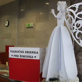 Vianočné srdce zelenej župy pokračuje zbierkou pre šimonka - IMG_0404