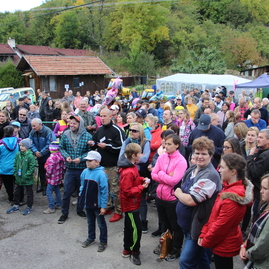 Víkend v trenčianskom kraji bol ovocný aj medový - IMG_3258