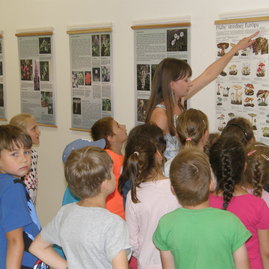 Vlastivedné múzeum v považskej bystrici sprístupnilo výstavu s názvom jedy v prírode - P7030323