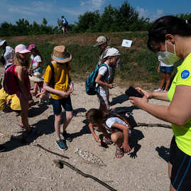Zväčšiť fotografiu - Vzdajme hold nielen cyklistom! - 20210628_CYKLOTRASA_NM_TN_008w