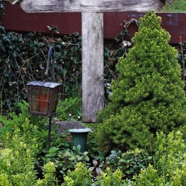 Zväčšiť fotografiu - Z úcty k zosnulým aj k prírode