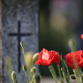 Zväčšiť fotografiu - Z úcty k zosnulým aj k prírode