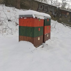 Zväčšiť fotografiu - Základy včelárstva aj ako predmet na župnej škole - 122263208_657202024965076_5568158244211080041_n