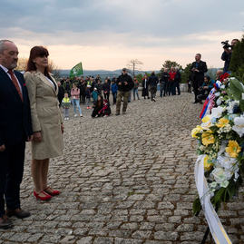 Zväčšiť fotografiu - Zapálené vatry rozžiarili mohylu generála m. r. štefánika - 20220503_BRADLO_103_MRS_023w